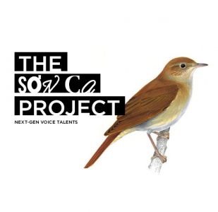 The Sơn ca project